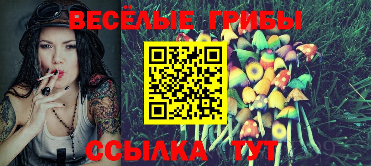 Псилоцибиновые грибы Psilocybine cubensis Кушва
