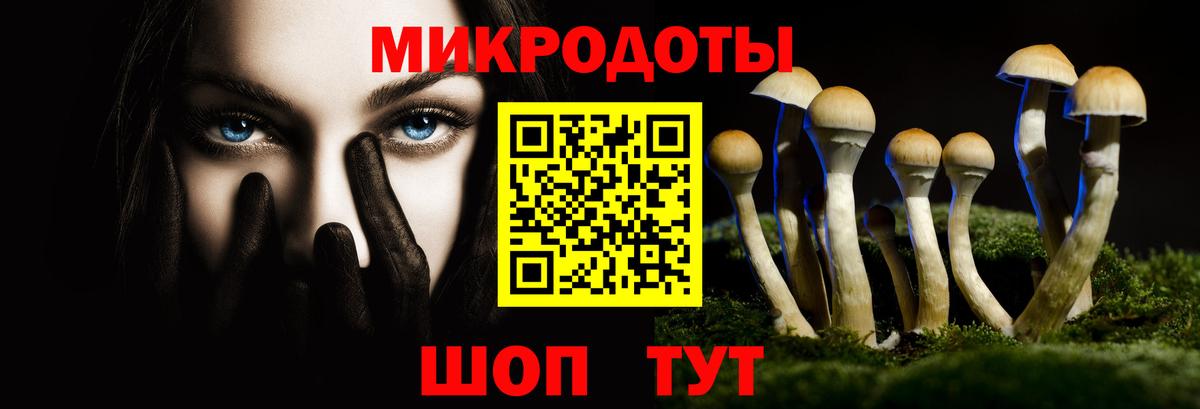 Псилоцибиновые грибы Cubensis  Вход с VPN  Кушва 